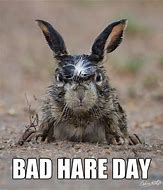 Image result for Funny Bad Hair Day Tuesday