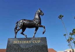Image result for Wallpaper Breeders' Cup
