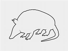 Image result for Armadillo Outline Detail