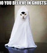 Image result for Ghost Cat Meme