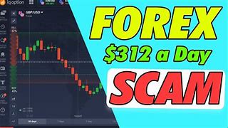 Image result for Whats App Scammers Forex Trade