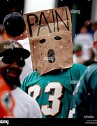 Image result for Miami Dolphins Fans