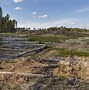 Image result for Most Beutifull Forest Russia