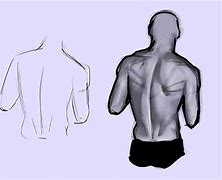Image result for Simple Back Drawing