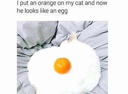 Image result for Cursed Egg Meme