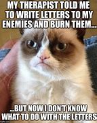 Image result for Grumpy Cat Writing