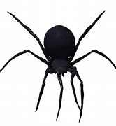 Image result for Black Widow Spider PNG