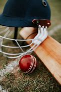 Image result for Cricket Green Toys