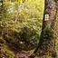 Image result for Fairy Glen Gorge