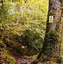 Image result for Fairy Glen Wales