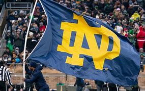 Image result for Notre Dame Football Fans