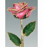 Image result for 24 Karat Gold Dipped Rose