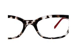 Image result for Fetch Eyewear Glasses