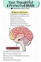 Image result for Stressed Brain for Kids
