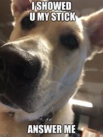 Image result for Funny Buy My Sticks