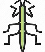 Image result for Stick Bug PNG