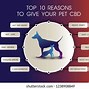 Image result for Top 10 Reasons to Shop Local