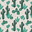 Image result for Green Cactus Aesthetic