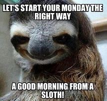 Image result for Good Morning Sloth Meme