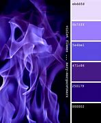 Image result for Purple Color Images
