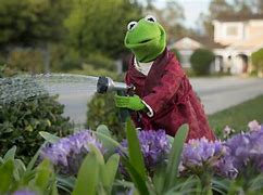 Image result for Kermit Cheer