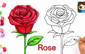 Image result for Rainbow Rose Drawing