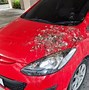 Image result for Bat Guano On a Car