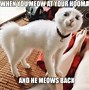 Image result for Funny Animal Images