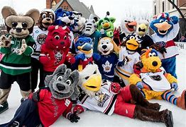 Image result for AHL Hockey Teams 2019