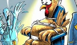 Image result for Cartoon Turkey Pardon