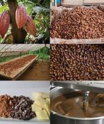 Image result for Conching Cocoa Beans