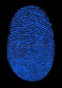 Image result for Fingerprint HD Wallpaper