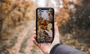 Image result for Best Low Price Camera for Photography