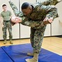 Image result for Marine Corps Martial Arts