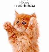 Image result for Un Happy Birthday Grumpy Cat
