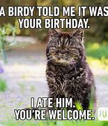 Image result for Meme Birthday Dedication to a Girl