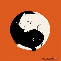 Image result for Yin Yang Galaxy Cat