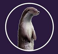 Image result for Amethyst the Otter