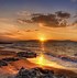 Image result for Google Desktop Wallpaper Summer