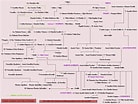 Hadrian Family Tree ପାଇଁ ପ୍ରତିଛବି ଫଳାଫଳ. ଆକାର: 138 x 104। ଉତ୍ସ: www.awesomestories.com