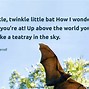 Image result for Funny Bat Quotes