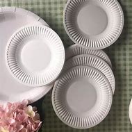 Image result for Paper Plate China