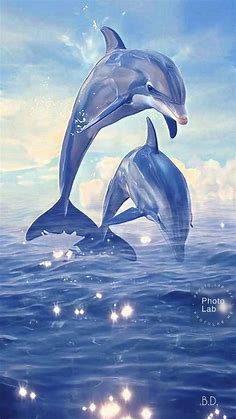 Dauphin magique🤣🤣🤩🤩🥰 | Animáles de océano, Imagenes de delfines animados, Arte del delfín