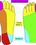 Image result for Tress Way Left or Right Footed