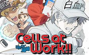 Image result for Cells at Work S2