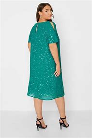 Image result for Plus Size Sequin Dress