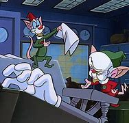 Image result for Pinky and Brain Blank Meme