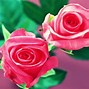 Image result for Rose Flower Wallpaper Full Screen