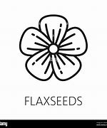 Image result for Flower bulbs & seeds