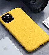 Image result for iPhone 11 Pro Max Daylight Sample